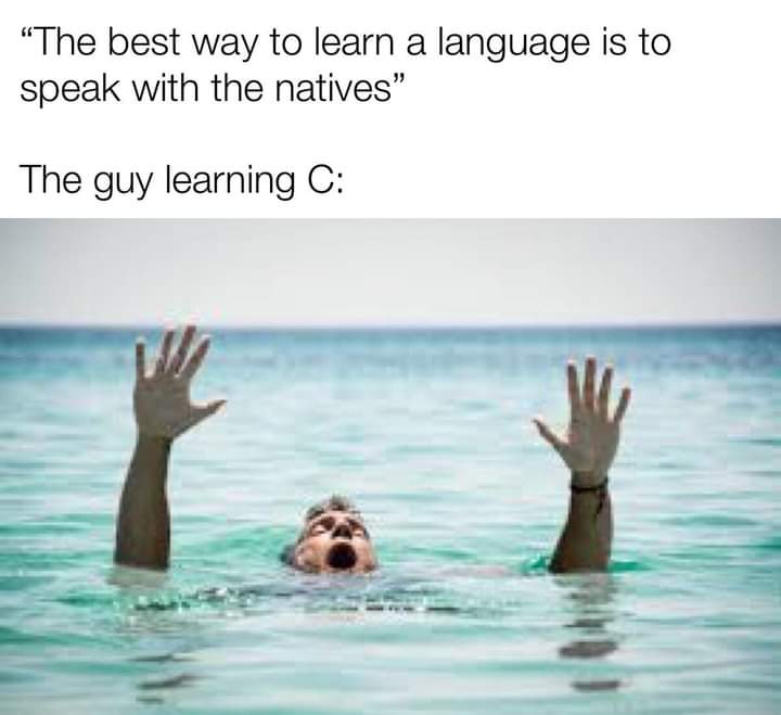 Image drôle du jour