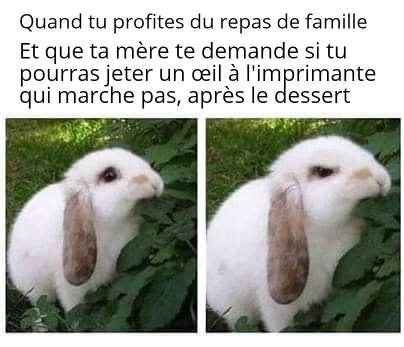 Image drôle du jour